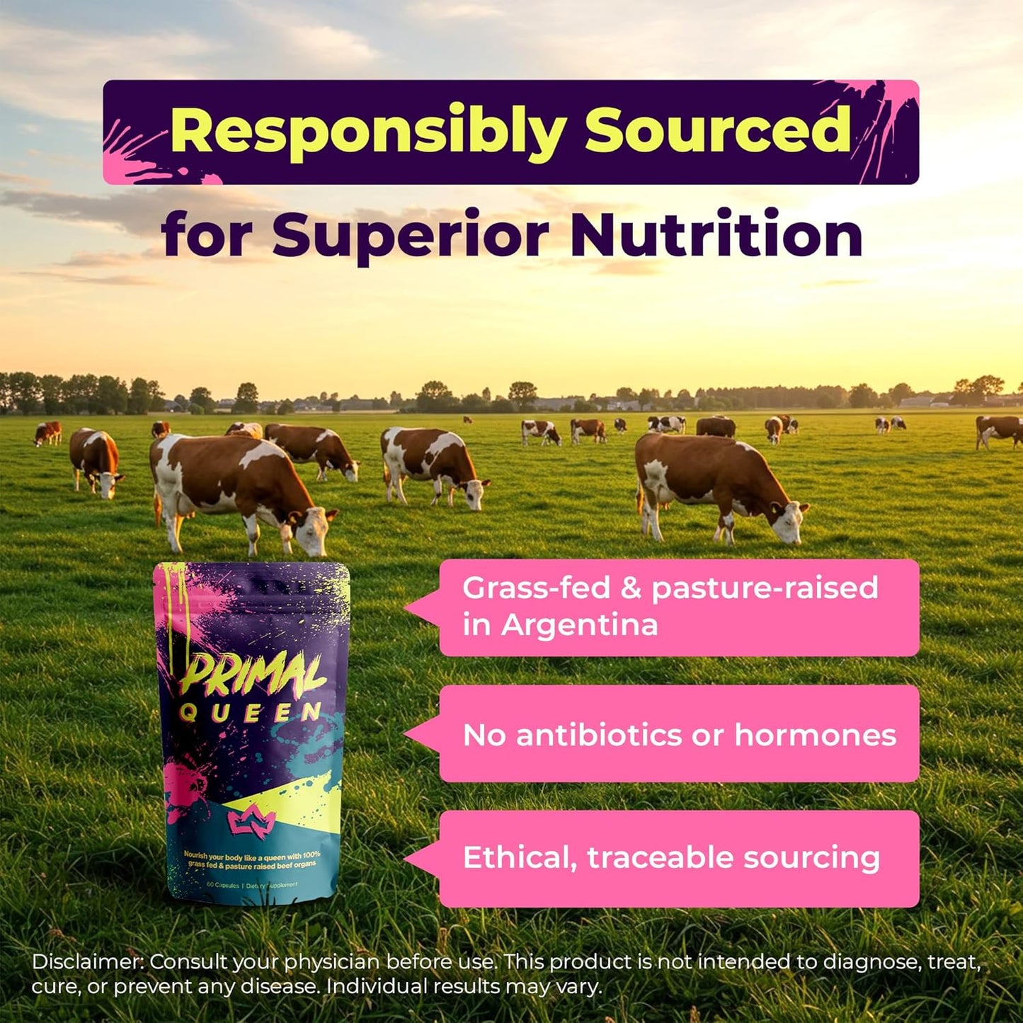 Primal Queen Female-Optimized Beef Organ Superfood Supplement